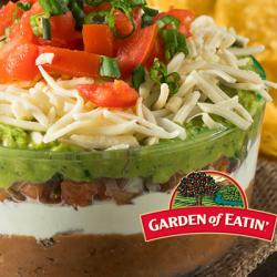 Layered Mexican Bean Dip